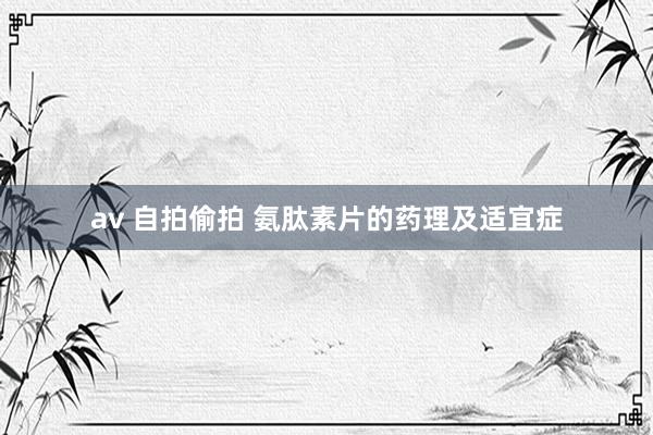 av 自拍偷拍 氨肽素片的药理及适宜症