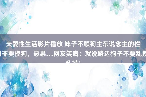 夫妻性生活影片播放 妹子不顾狗主东说念主的拦阻非要摸狗，恶果…网友笑疯：就说路边狗子不要乱摸！
