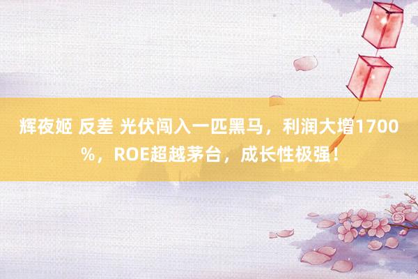 辉夜姬 反差 光伏闯入一匹黑马，利润大增1700%，ROE超越茅台，成长性极强！