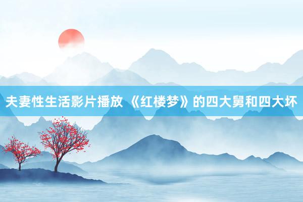 夫妻性生活影片播放 《红楼梦》的四大舅和四大坏