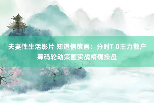 夫妻性生活影片 知道信策画：分时T 0主力散户筹码轮动策画实战精确操盘